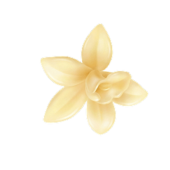 Flower Icon 1